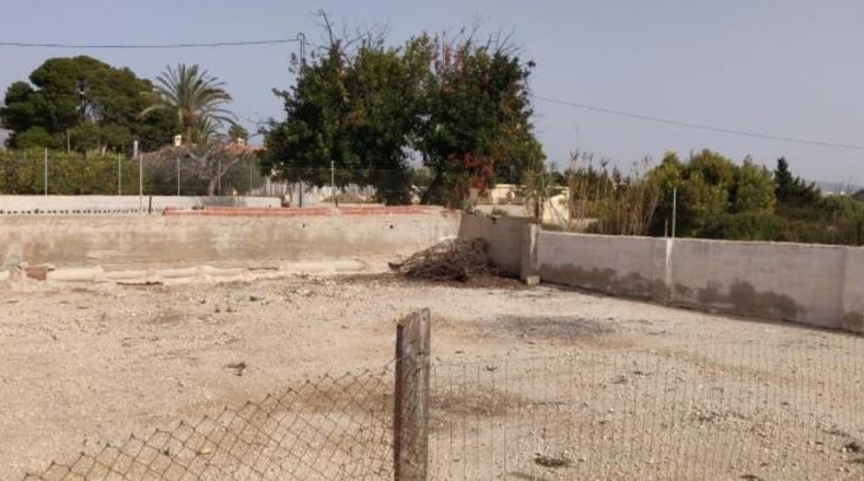 Alicante - Crevillent - 14000m2