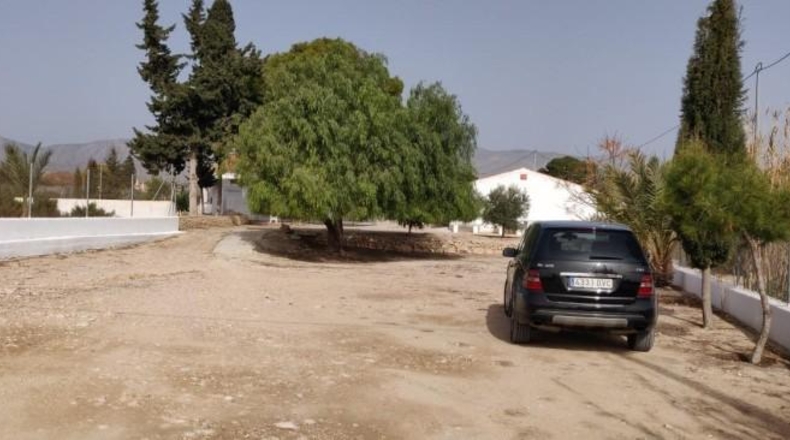 Alicante - Crevillent - 14000m2