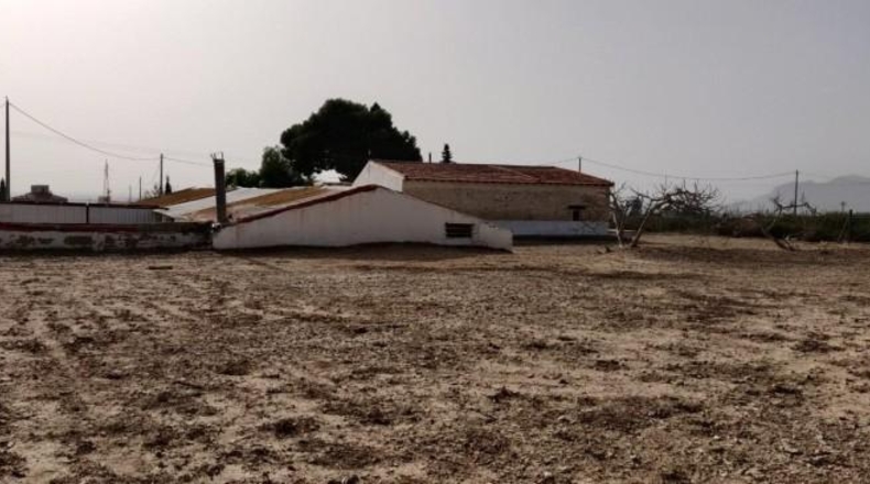 Alicante - Crevillent - 14000m2