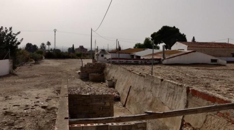 Alicante - Crevillent - 14000m2