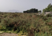 Casa de camp amb terreny en venda a la España, Crevillent, ref.: TR153499 foto