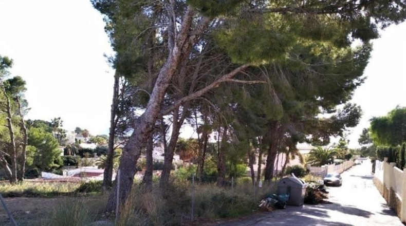 Alicante - Calpe - 800m2