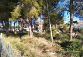 Sòl urbà en venda a la España, Calp, ref.: TR251247 foto