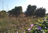 Sòl urbà en venda a la España, Calp, ref.: TR251247 foto