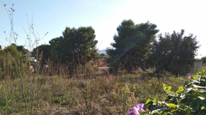 Alicante - Calpe - 800m2