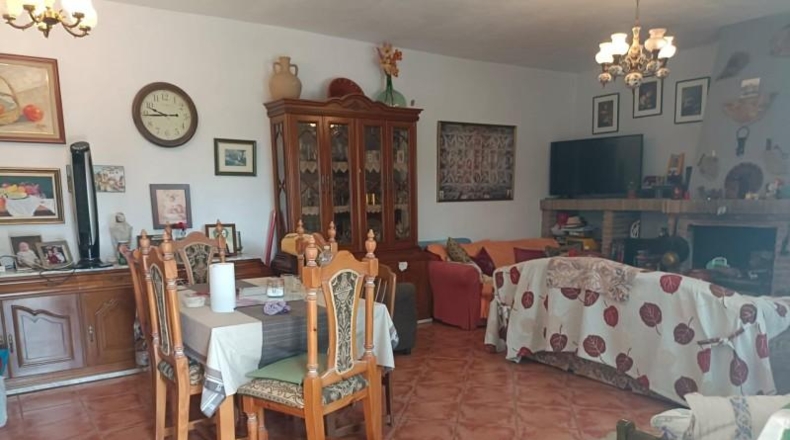 Málaga - Málaga - 19412m2