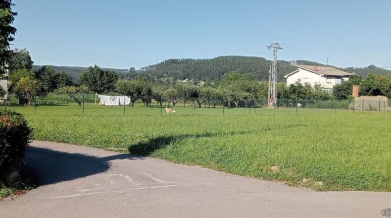 Astúries - Vioño - 1245m2