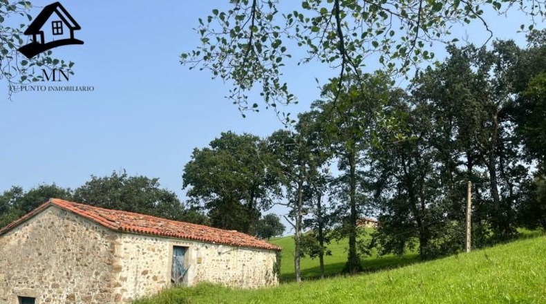 Cantabria - Villacarriedo - 7041m2