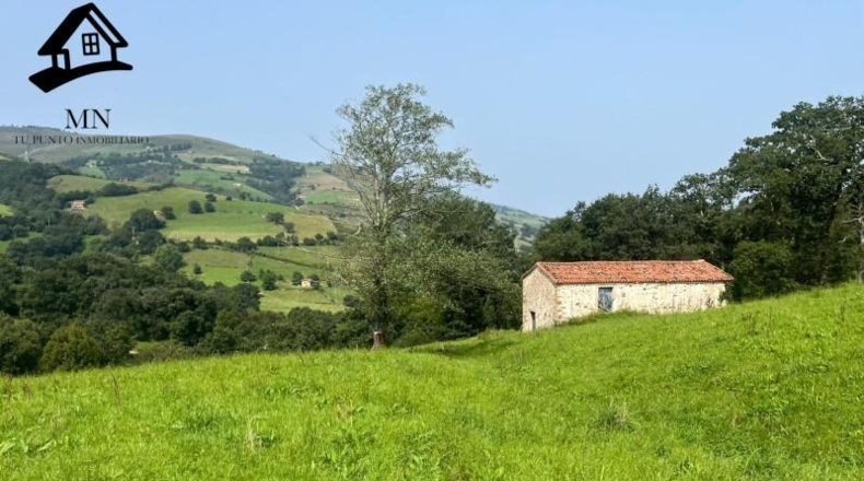 Cantabria - Villacarriedo - 7041m2