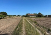 Загородный дом с участком на продажу в городе Кастельон-де-ла-Плана Фото