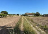 Загородный дом с участком на продажу в городе Кастельон-де-ла-Плана Фото