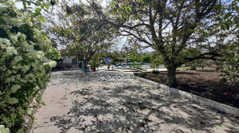 Córdoba - Lucena - 4500m2