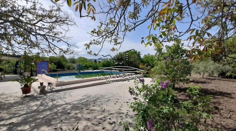 Córdoba - Lucena - 4500m2