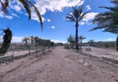 Casa de poble en venda a la España, Pulpí, ref.: TR342732 foto