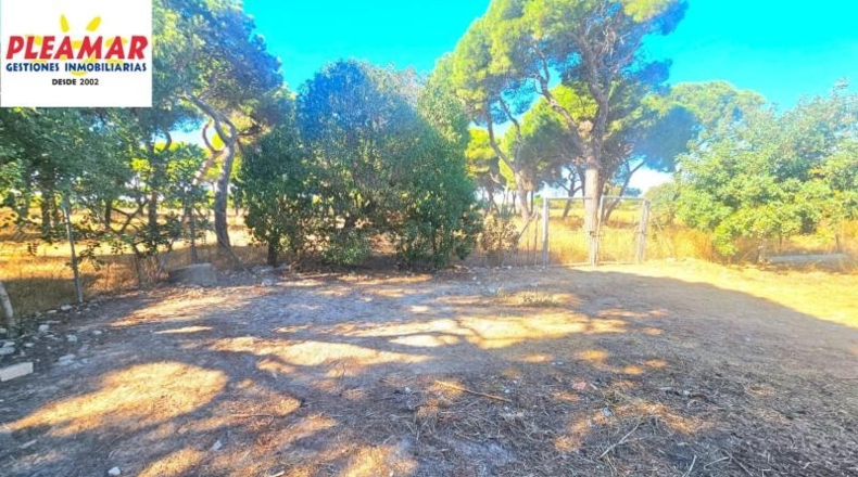 Cádiz - Chipiona - 1730m2