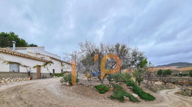 Almería - Vélez-Rubio - 104508m2