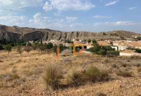 Arboleas 15000&nbsp;m² 