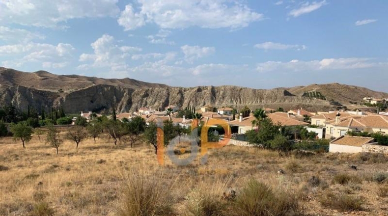 Almería - Arboleas - 15000m2