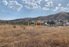 Arboleas 15000&nbsp;m² 