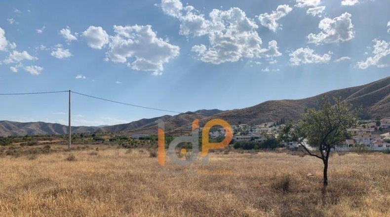 Almería - Arboleas - 15000m2