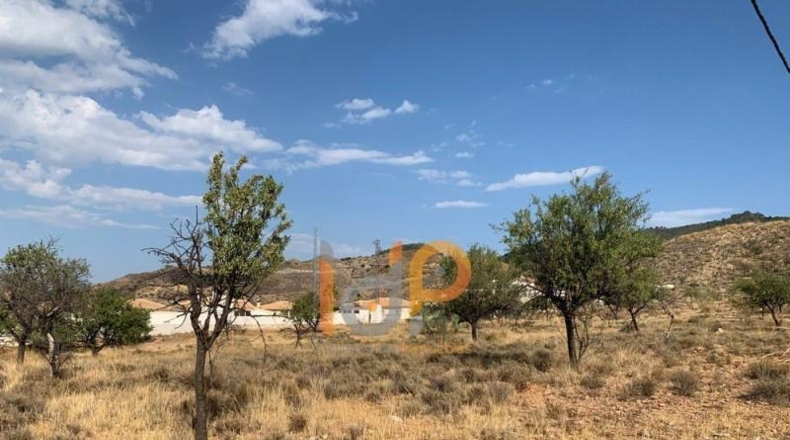 Almería - Arboleas - 15000m2