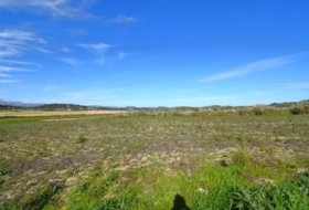 Muro 18250&nbsp;m²