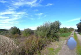 Muro 18250&nbsp;m²