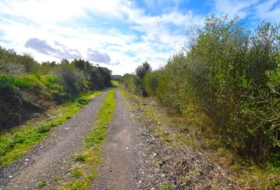 Muro 18250&nbsp;m²