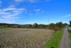 Muro 18250&nbsp;m²