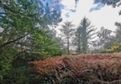 Sòl urbà en venda a la España, Oleiros, ref.: TR378481 foto