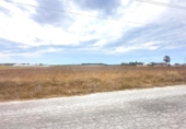 Terreny no urbanitzable en venda a la España, Sanlúcar de Barrameda, ref.: TR351221 foto