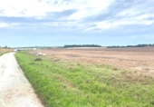 Terreny no urbanitzable en venda a la España, Sanlúcar de Barrameda, ref.: TR351221 foto