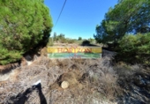 Chalet independiente con terreno en venta en la España, Albox, ref: TR352457 foto