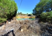 Chalet independiente con terreno en venta en la España, Albox, ref: TR352457 foto