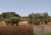 Terreny no urbanitzable en venda a la España, Villarrasa, ref.: TR353910 foto