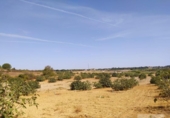 Terreny no urbanitzable en venda a la España, Villarrasa, ref.: TR353910 foto