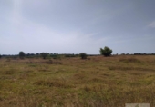 Terreny no urbanitzable en venda a la España, Villarrasa, ref.: TR353910 foto