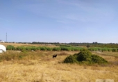 Terreny no urbanitzable en venda a la España, Villarrasa, ref.: TR353910 foto