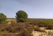 Terreny no urbanitzable en venda a la España, Villarrasa, ref.: TR353910 foto