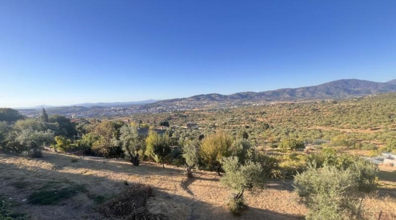 Cáceres - Plasencia - 2000m2