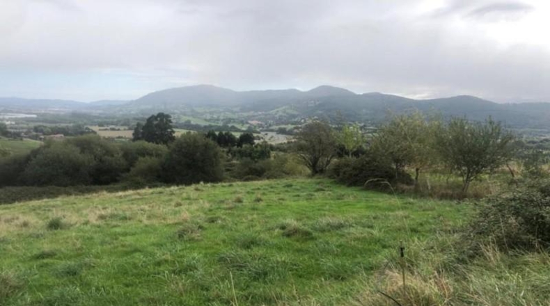Cantabria - Camargo - 16209m2