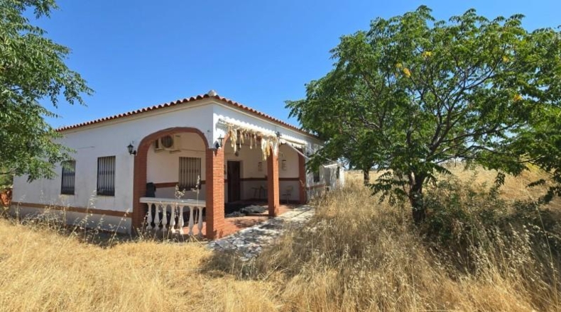 Córdoba - Alcaracejos - 209m2