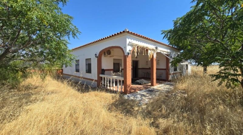 Córdoba - Alcaracejos - 209m2