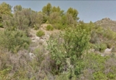 Non-developable land for sale on España, Murla, ref: TR112652 photo
