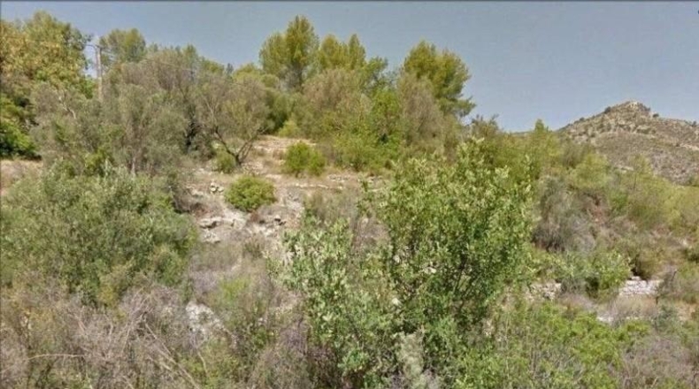 Alicante - Murla - 10000m2