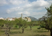 Non-developable land for sale on España, Murla, ref: TR112652 photo
