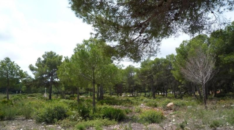 Alicante - Jávea - 1000m2