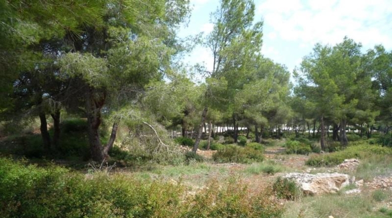Alicante - Jávea - 1000m2