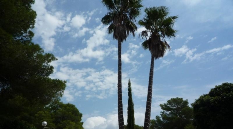 Alicante - Jávea - 1000m2