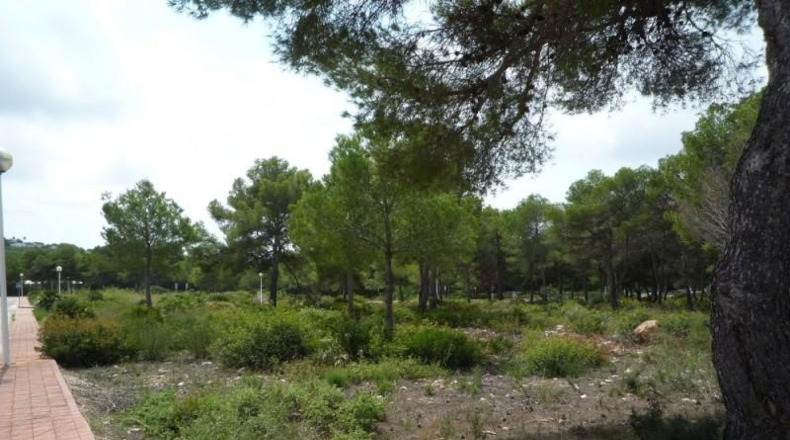 Alicante - Jávea - 1000m2